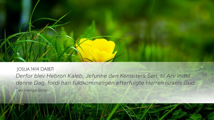 Josua 14:14 DA1871 Bible Verse Image