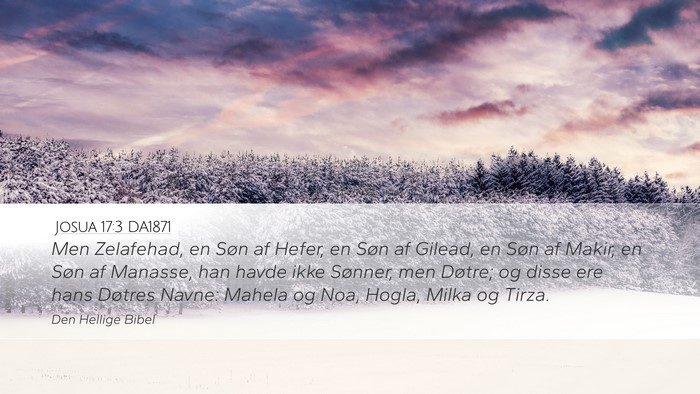 Josua 17:3 DA1871 Bible Verse Image