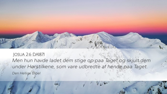 Josua 2:6 DA1871 Bible Verse Image