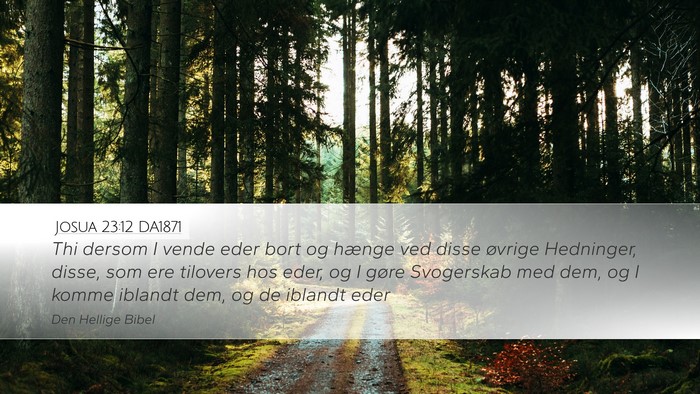 Josua 23:12 DA1871 Bible Verse Image