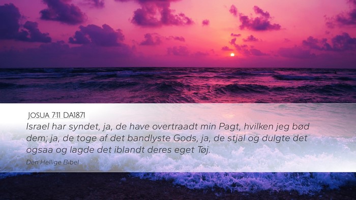 Josua 7:11 DA1871 Bible Verse Image