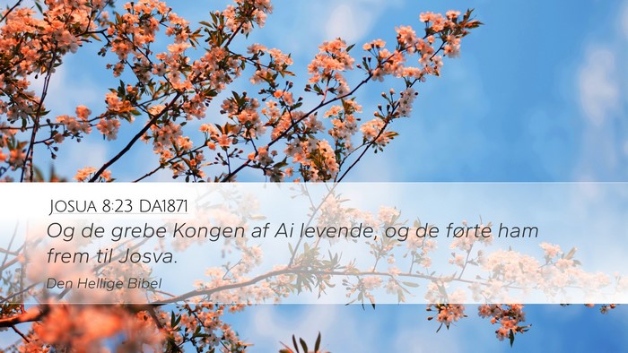 Josua 8:23 DA1871 Desktop Wallpaper - Og de grebe Kongen af Ai levende, og de førte - Desktop Bible Verse Wallpaper