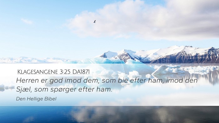 Klagesangene 3:25 DA1871 Bible Verse Image
