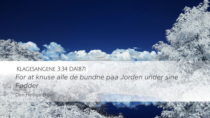 Klagesangene 3:34 DA1871 Bible Verse Image