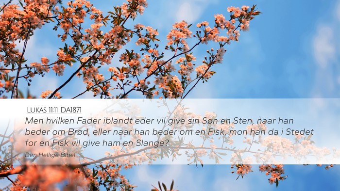 Lukas 11:11 DA1871 Bible Verse Image