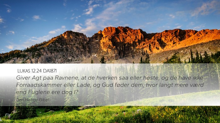 Lukas 12:24 DA1871 Bible Verse Image