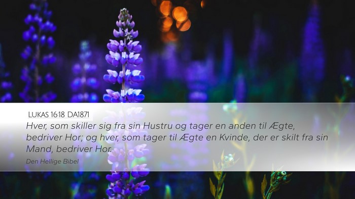Lukas 16:18 DA1871 Bible Verse Image