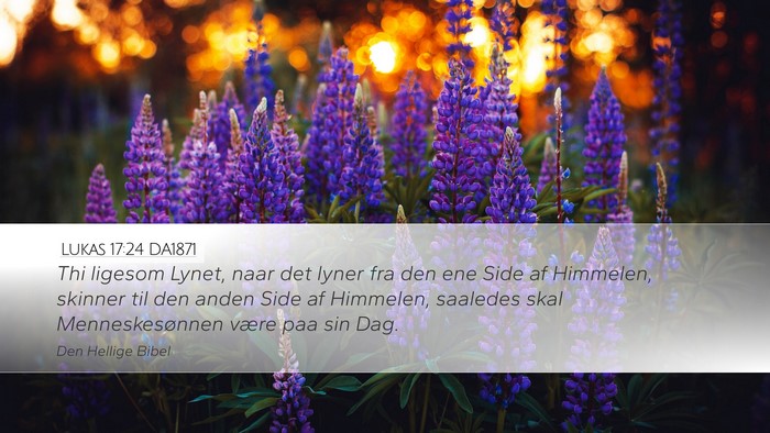 Lukas 17:24 DA1871 Bible Verse Image