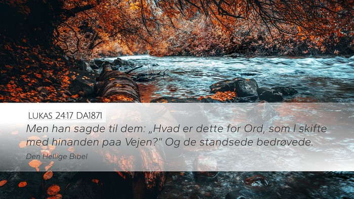 Lukas 24:17 DA1871 Desktop Wallpaper - Men han sagde til dem: „Hvad er dette for Ord, - Desktop Bible Verse Wallpaper