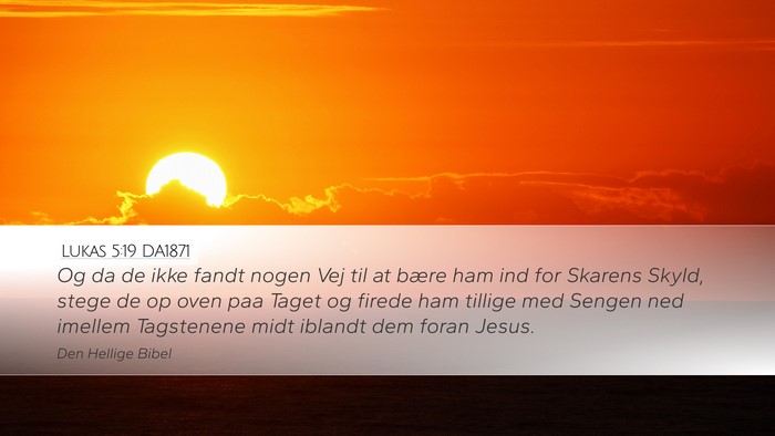 Lukas 5:19 DA1871 Bible Verse Image