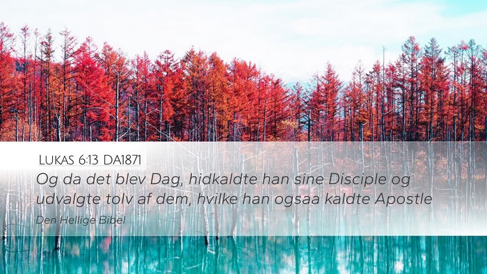 Lukas 6:13 DA1871 Bible Verse Image