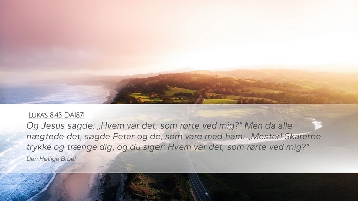 Lukas 8:45 DA1871 Bible Verse Image