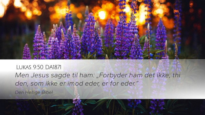 Lukas 9:50 DA1871 Bible Verse Image