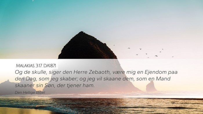 Malakias 3:17 DA1871 Bible Verse Image
