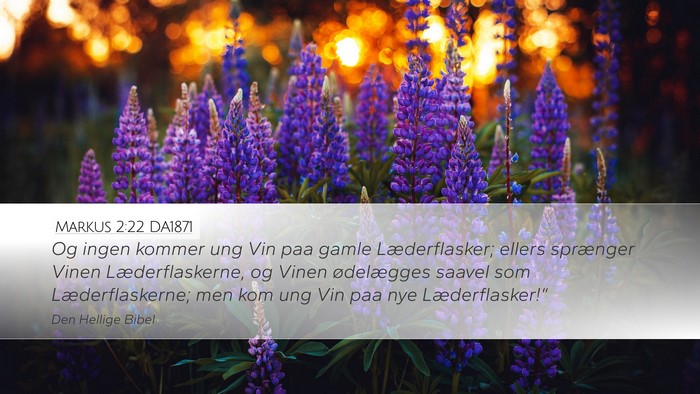 Markus 2:22 DA1871 Bible Verse Image