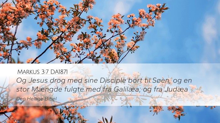 Markus 3:7 DA1871 Bible Verse Image