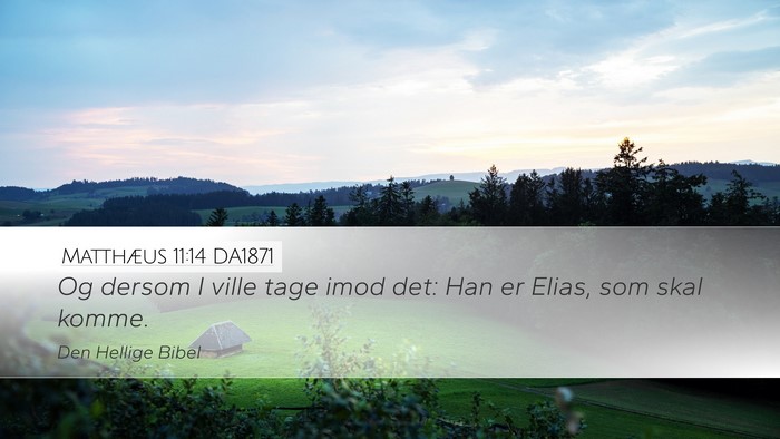 Matthæus 11:14 DA1871 Bible Verse Image