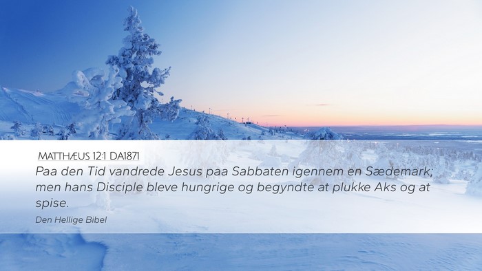Matthæus 12:1 DA1871 Bible Verse Image