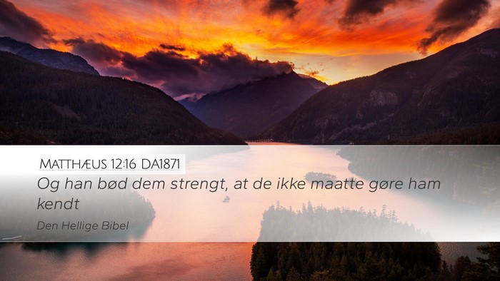 Matthæus 12:16 DA1871 Bible Verse Image