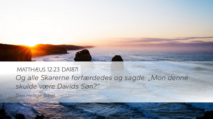 Matthæus 12:23 DA1871 Bible Verse Image
