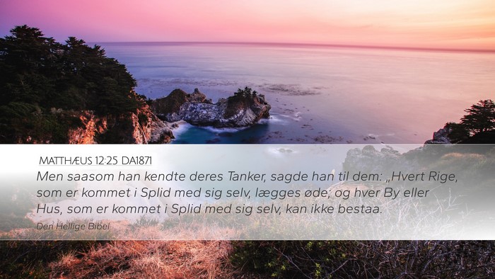 Matthæus 12:25 DA1871 Bible Verse Image