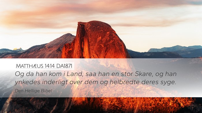 Matthæus 14:14 DA1871 Bible Verse Image