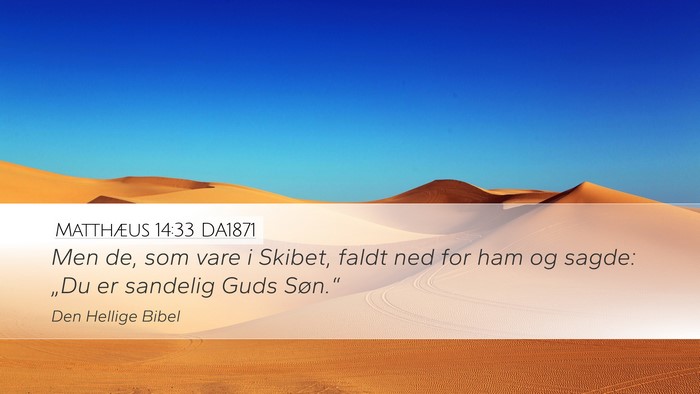 Matthæus 14:33 DA1871 Bible Verse Image