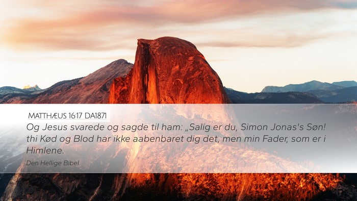 Matthæus 16:17 DA1871 Bible Verse Image