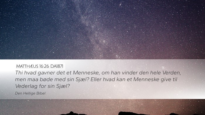 Matthæus 16:26 DA1871 Bible Verse Image