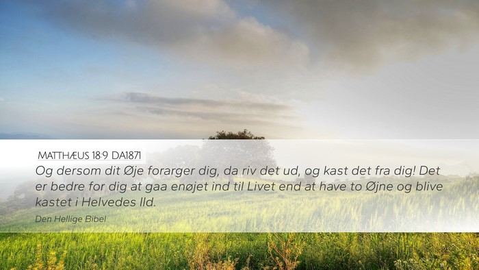 Matthæus 18:9 DA1871 Desktop Wallpaper - Og dersom dit Øje forarger dig, da riv det ud, - Desktop Bible Verse Wallpaper