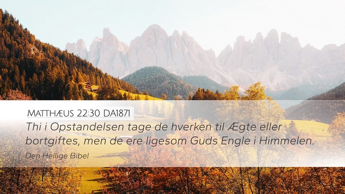 Matthæus 22:30 DA1871 Bible Verse Image