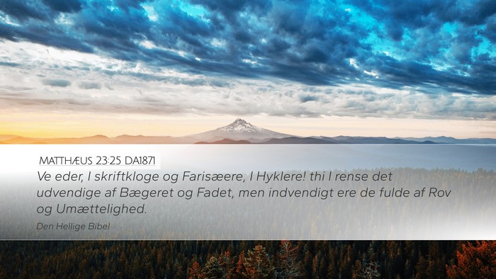 Matthæus 23:25 DA1871 Bible Verse Image