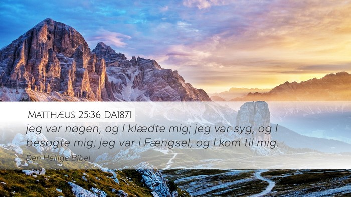 Matthæus 25:36 DA1871 Bible Verse Image
