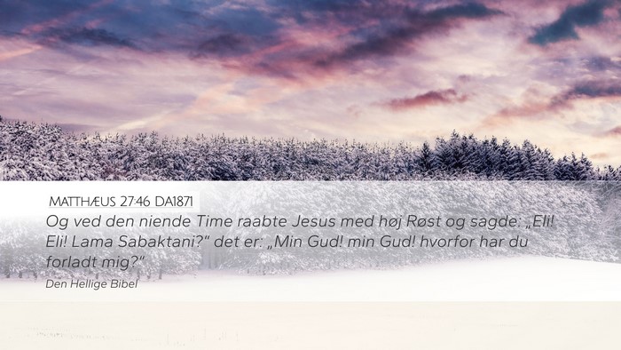 Matthæus 27:46 DA1871 Bible Verse Image