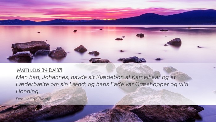 Matthæus 3:4 DA1871 Desktop Wallpaper - Men han, Johannes, havde sit Klædebon af - Desktop Bible Verse Wallpaper
