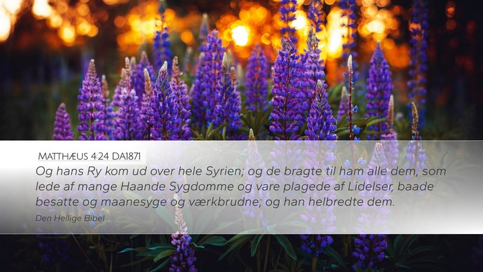 Matthæus 4:24 DA1871 Bible Verse Image