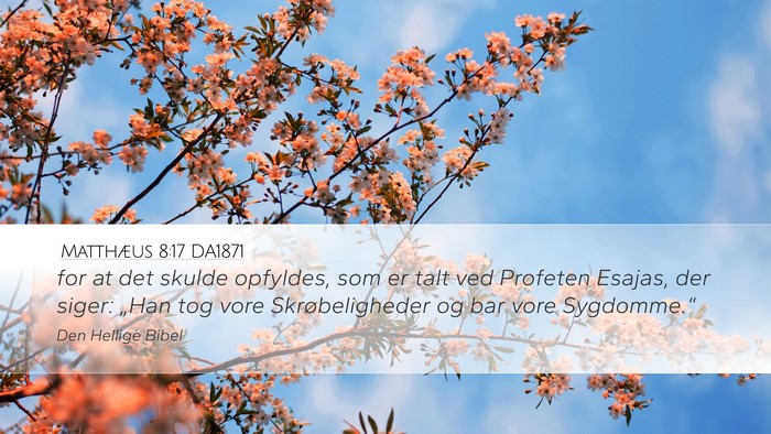 Matthæus 8:17 DA1871 Bible Verse Image