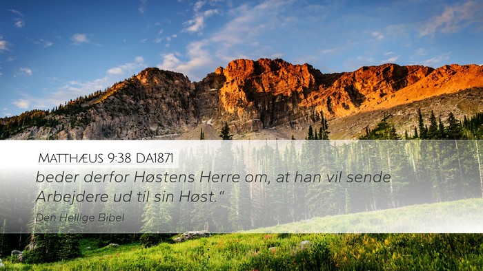 Matthæus 9:38 DA1871 Bible Verse Image