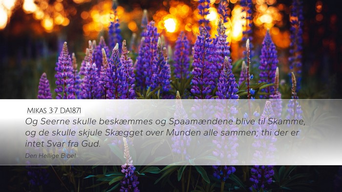Mikas 3:7 DA1871 Desktop Wallpaper - Og Seerne skulle beskæmmes og Spaamændene blive - Desktop Bible Verse Wallpaper