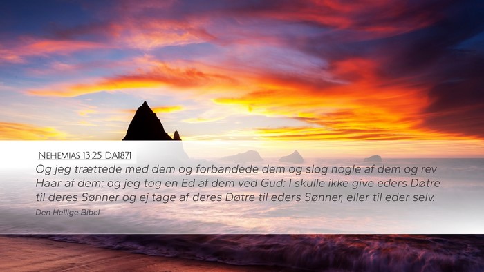 Nehemias 13:25 DA1871 Bible Verse Image