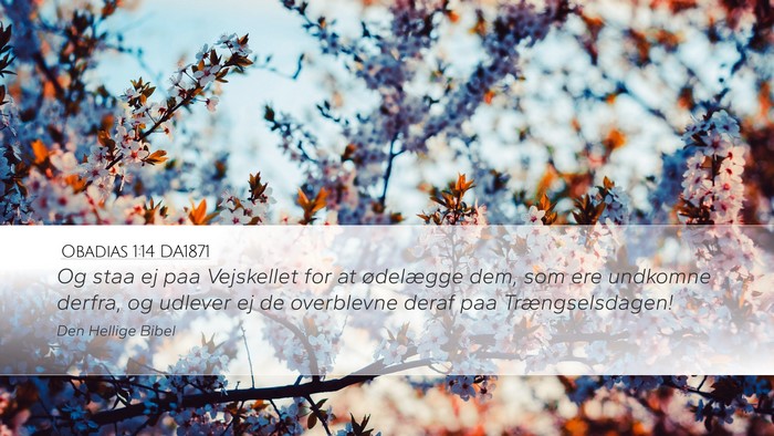 Obadias 1:14 DA1871 Bible Verse Image