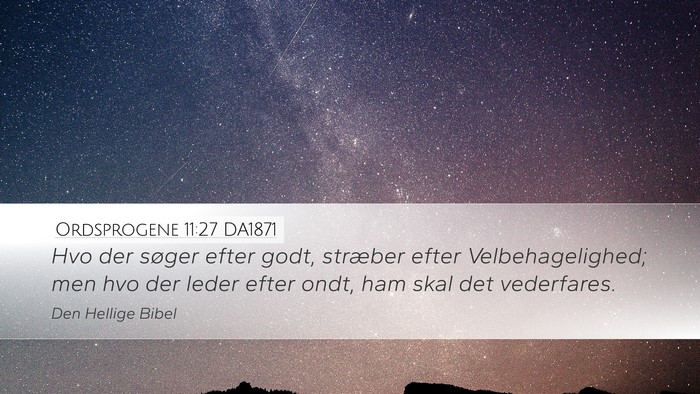 Ordsprogene 11:27 DA1871 Bible Verse Image