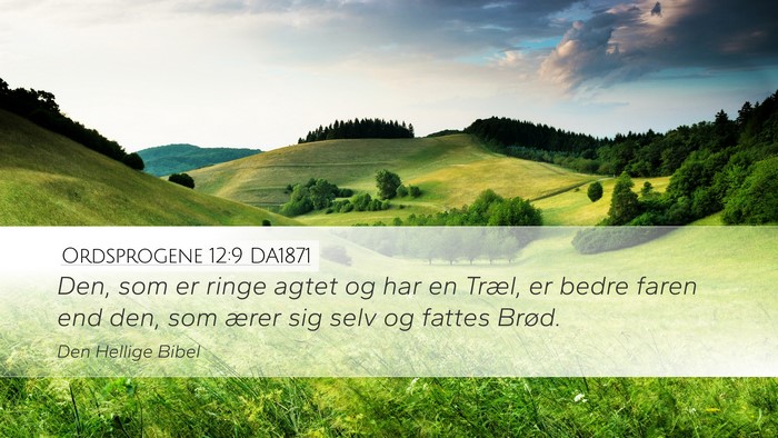 Ordsprogene 12:9 DA1871 Bible Verse Image