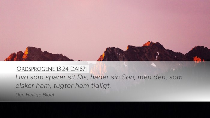Ordsprogene 13:24 DA1871 Bible Verse Image