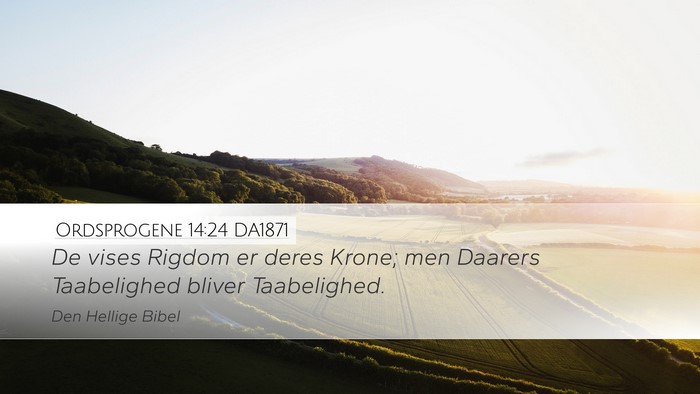 Ordsprogene 14:24 DA1871 Desktop Wallpaper - De vises Rigdom er deres Krone; men Daarers - Desktop Bible Verse Wallpaper
