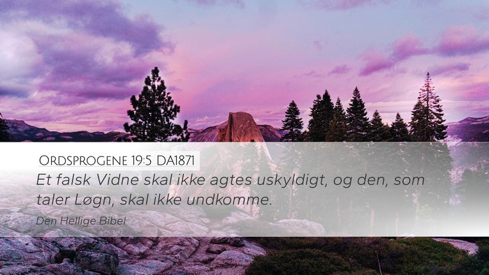 Ordsprogene 19:5 DA1871 Desktop Wallpaper - Et falsk Vidne skal ikke agtes uskyldigt, og den, - Desktop Bible Verse Wallpaper