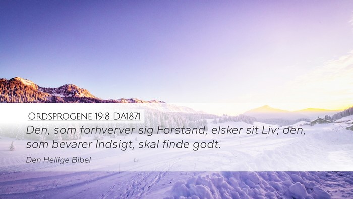 Ordsprogene 19:8 DA1871 Desktop Wallpaper - Den, som forhverver sig Forstand, elsker sit Liv; - Desktop Bible Verse Wallpaper