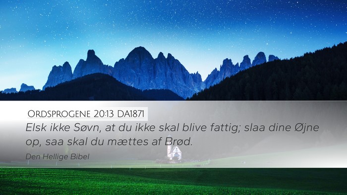 Ordsprogene 20:13 DA1871 Bible Verse Image