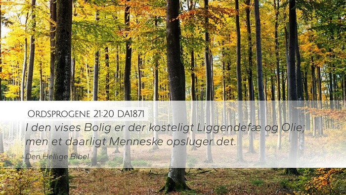 Ordsprogene 21:20 DA1871 Bible Verse Image