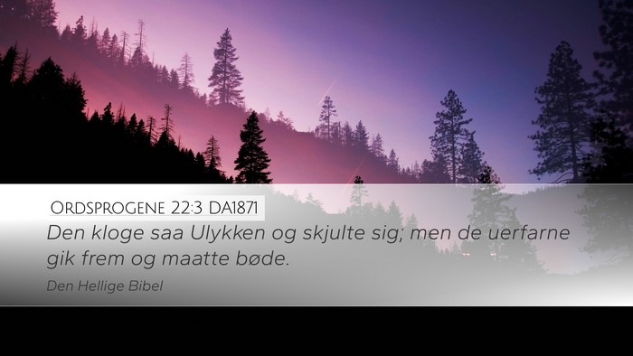 Ordsprogene 22:3 DA1871 Bible Verse Image
